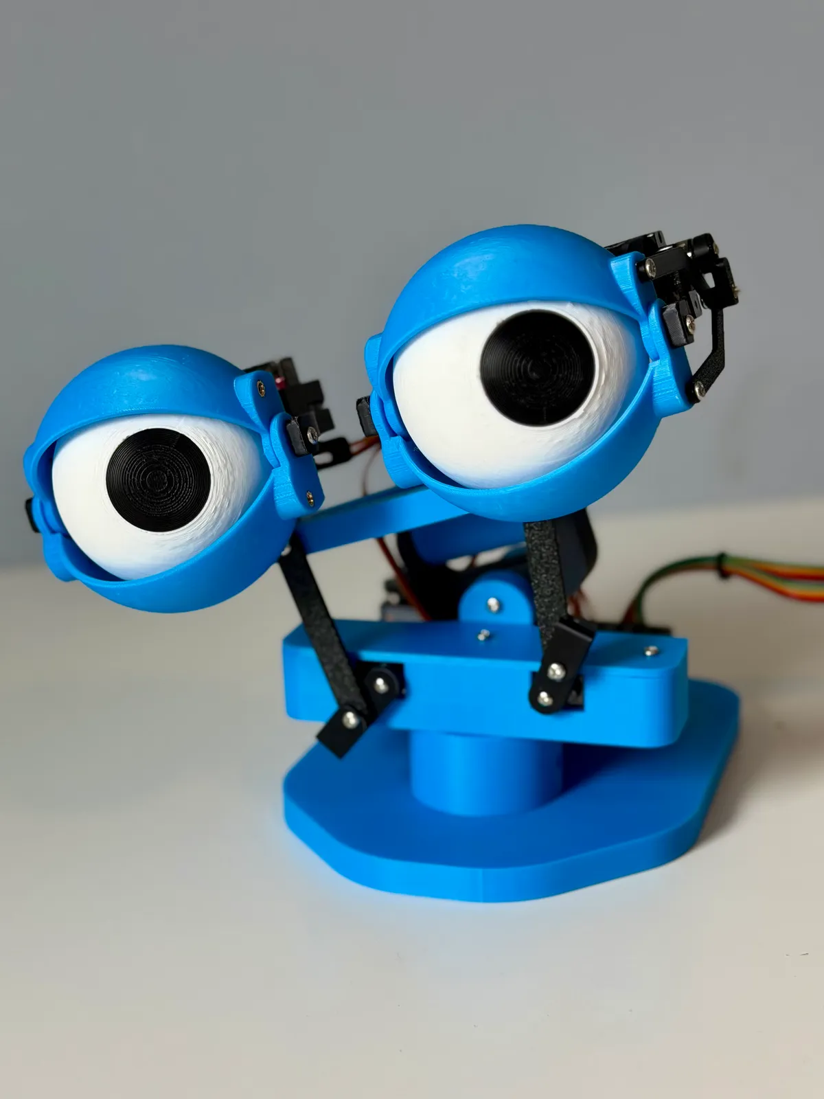 Assembled Robotic Eyes Kit — the flagship product with fully articulated eyes and neck